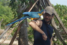 Pío A. Colmenares
