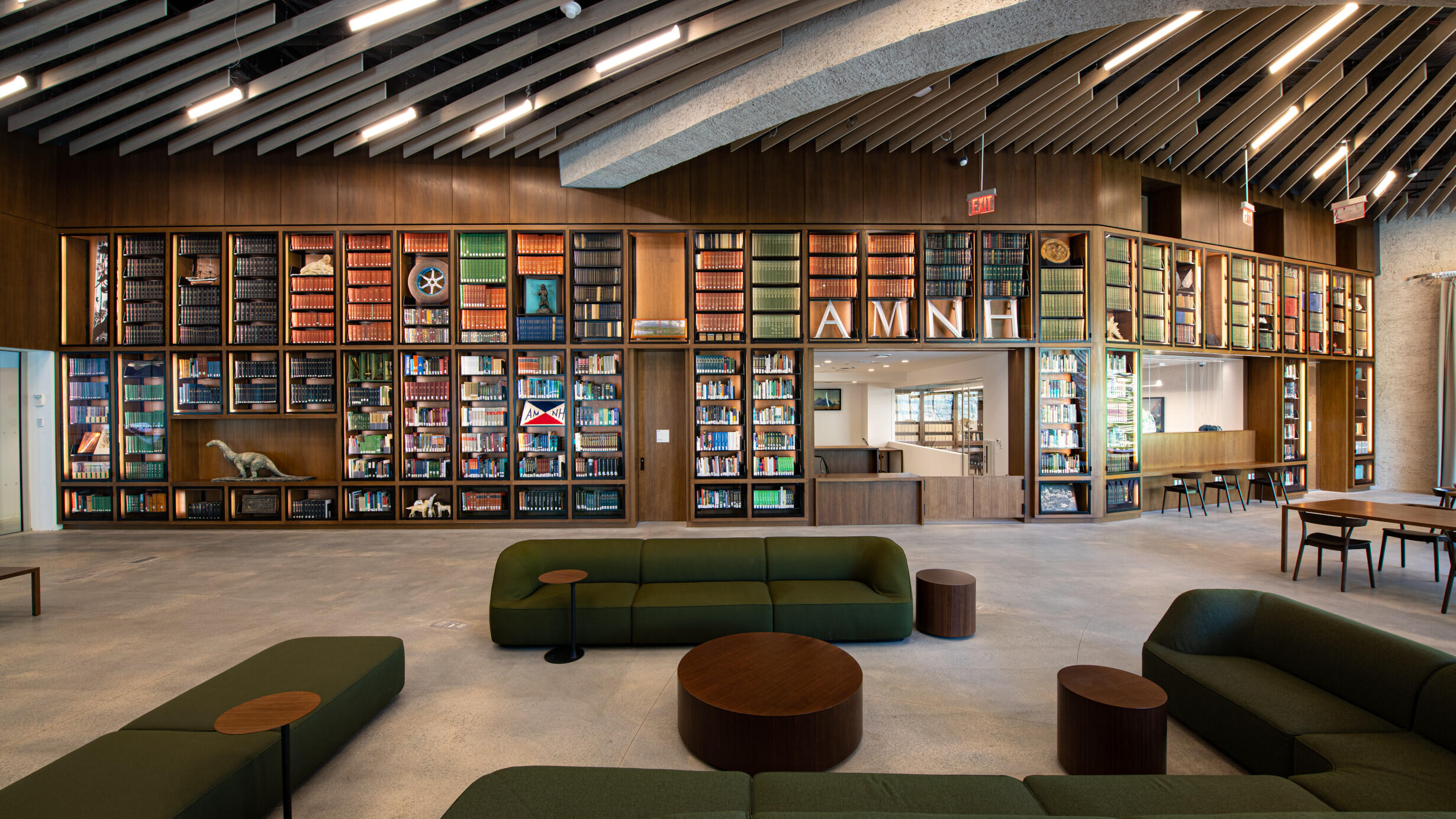 Library at the American Museum of Natural History
