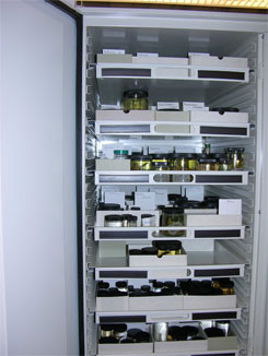 Refrigerator with trays of collection bottles in new storage facility