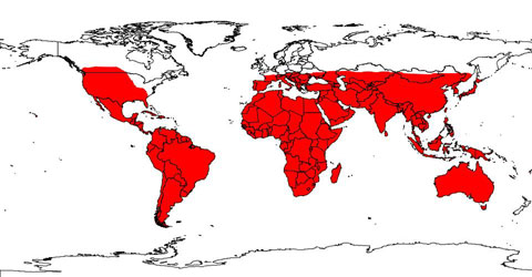 Approximate world distribution of scorpions