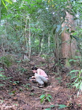 Fieldwork image 21