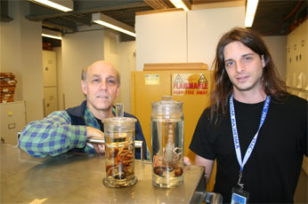 Collections personnel