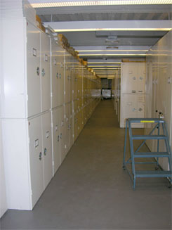 Starr Natural Sciences Building (NSB) collections