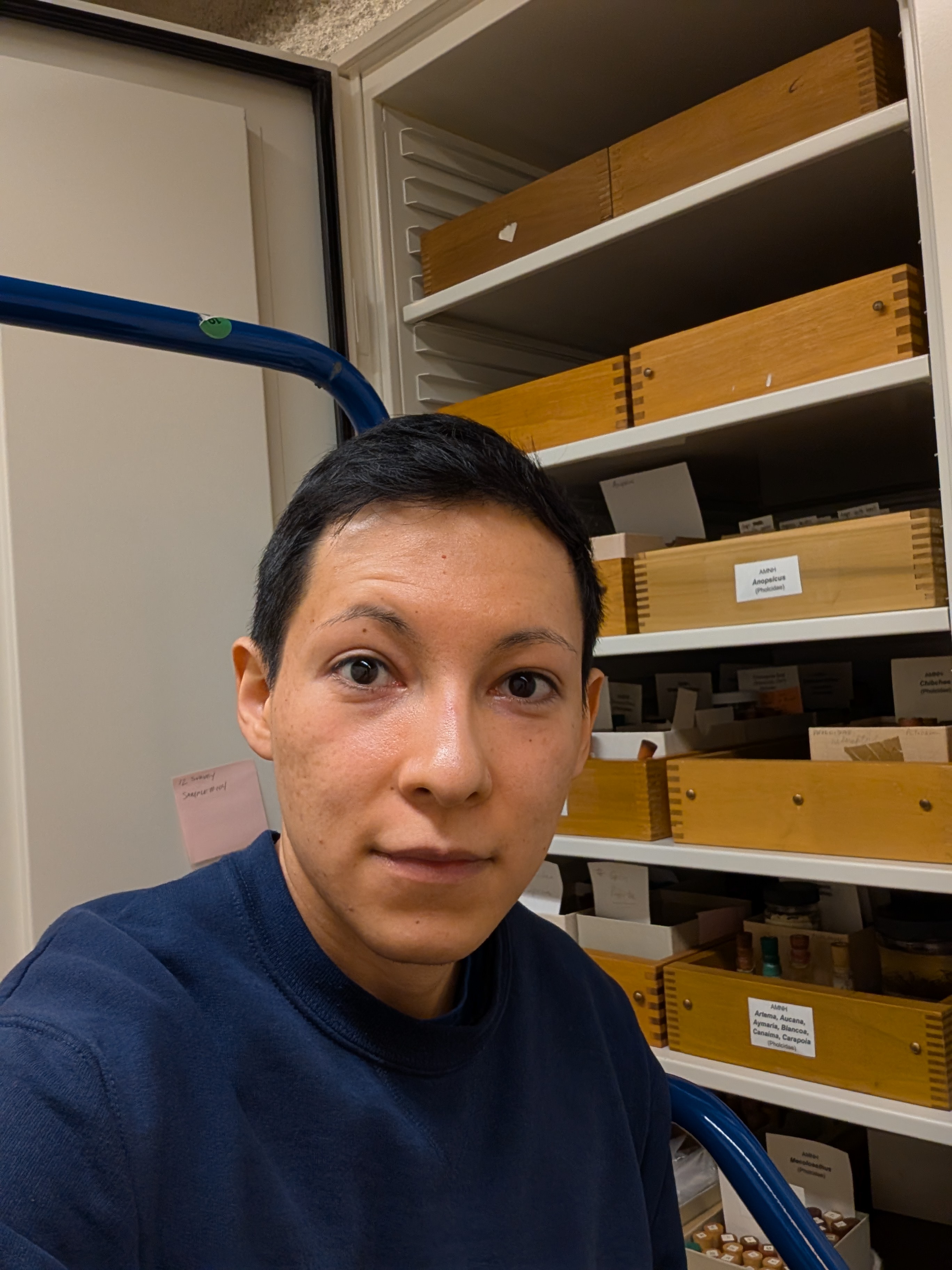 Antonio Galán Sánchez