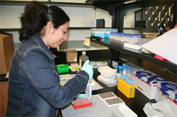 Ofelia Delgado working in the molecular lab