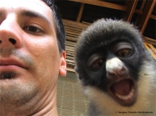 Sergios-Orestis Kolokotronis with Diana monkey in Ankasa Conservation Area, Ghana